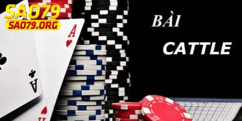 Bài catte Luật chơi bài Catte chi tiết và chuẩn xác nhất
