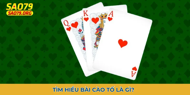 bài cào tố Tìm hiểu bài cào tố là gì?